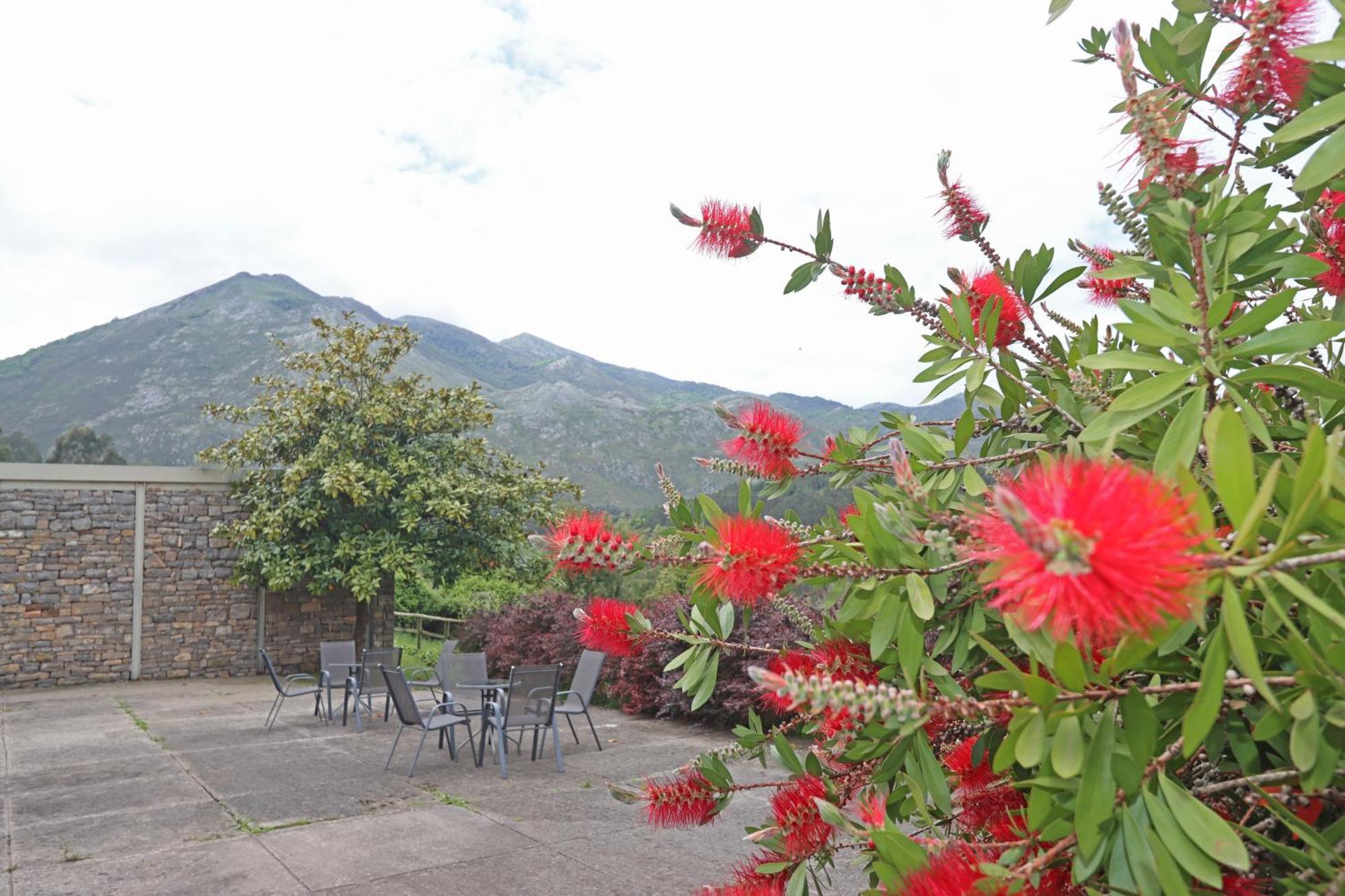 Hotel El Babu การาเบีย ภายนอก รูปภาพ